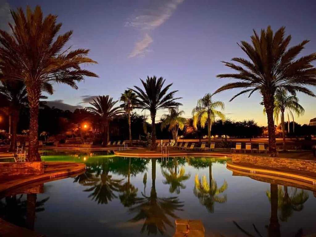 palm trees reflected on the pool at sunset